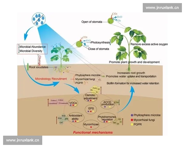 围绕比赛数据来源可靠性评估与验证机制的系统性研究探讨方法分析